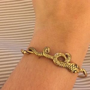 Snake Alex and ani